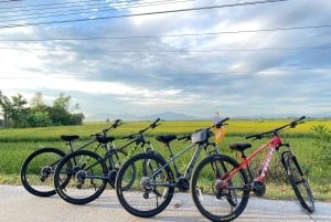 Аренда горных велосипедов в Хюэ на целый день