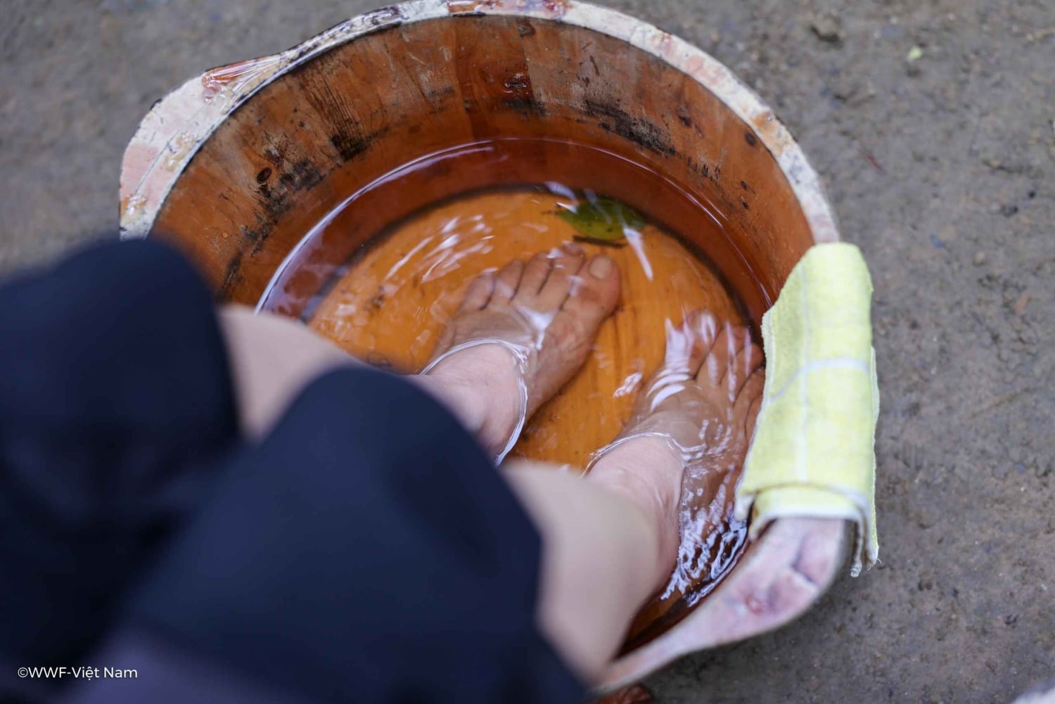 Hue: un día para reducir el plástico