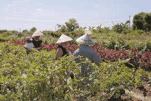Hue: Besøk en økologisk gård og få et autentisk lokalt matlagingskurs