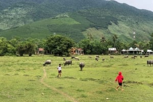 Хюэ/Дананг/Хойан: легкая поездка на мотоцикле через перевал Хайван