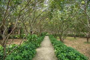 Hue: Cidade Imperial, Aldeia Thuy Bieu, Tour pela Lagoa Tam Giang