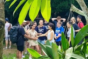 Hue: Not just another Cooking Class