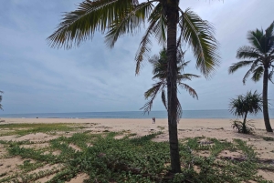 Хюэ: Частный автомобиль до/из Да Нанга с живописными остановками