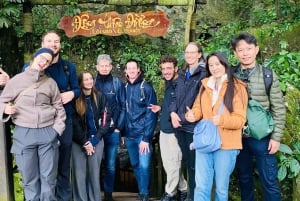 From Hue: Phong Nha Cave & Paradise Cave Full-Day Trip