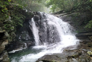 Hue to Da Nang/Hoi An via Bach Ma Trekking