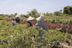 Hue City: Besuch auf einem Bio-Bauernhof & authentischer lokaler Kochkurs