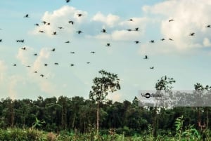 カントー：鳥類の専門家とルンゴックホアン自然保護区