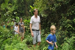 Cat Ba Sunset Jeep Tour: Hospital Cave & National Park Hike