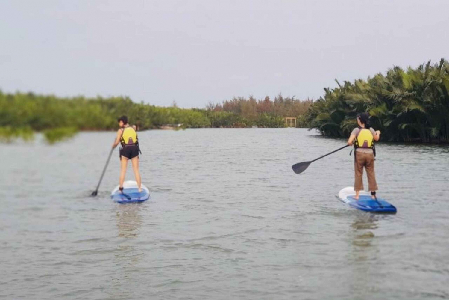 Hoi An: Kayak or SUP Board Guided Tour to Duy Vinh & Bay Mau
