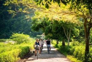 Crociera di 2 giorni e 1 notte nella baia di Lan Ha