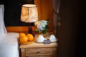 Lan Ha Bay boutique cruises with small group