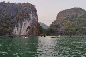 Lan Ha Bay: Bioluminescence Plankton Tour in Secret Lagoon
