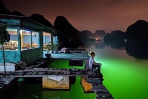 Baia di Lan Ha: Tour del plancton bioluminescente in kayak dal molo di Beo