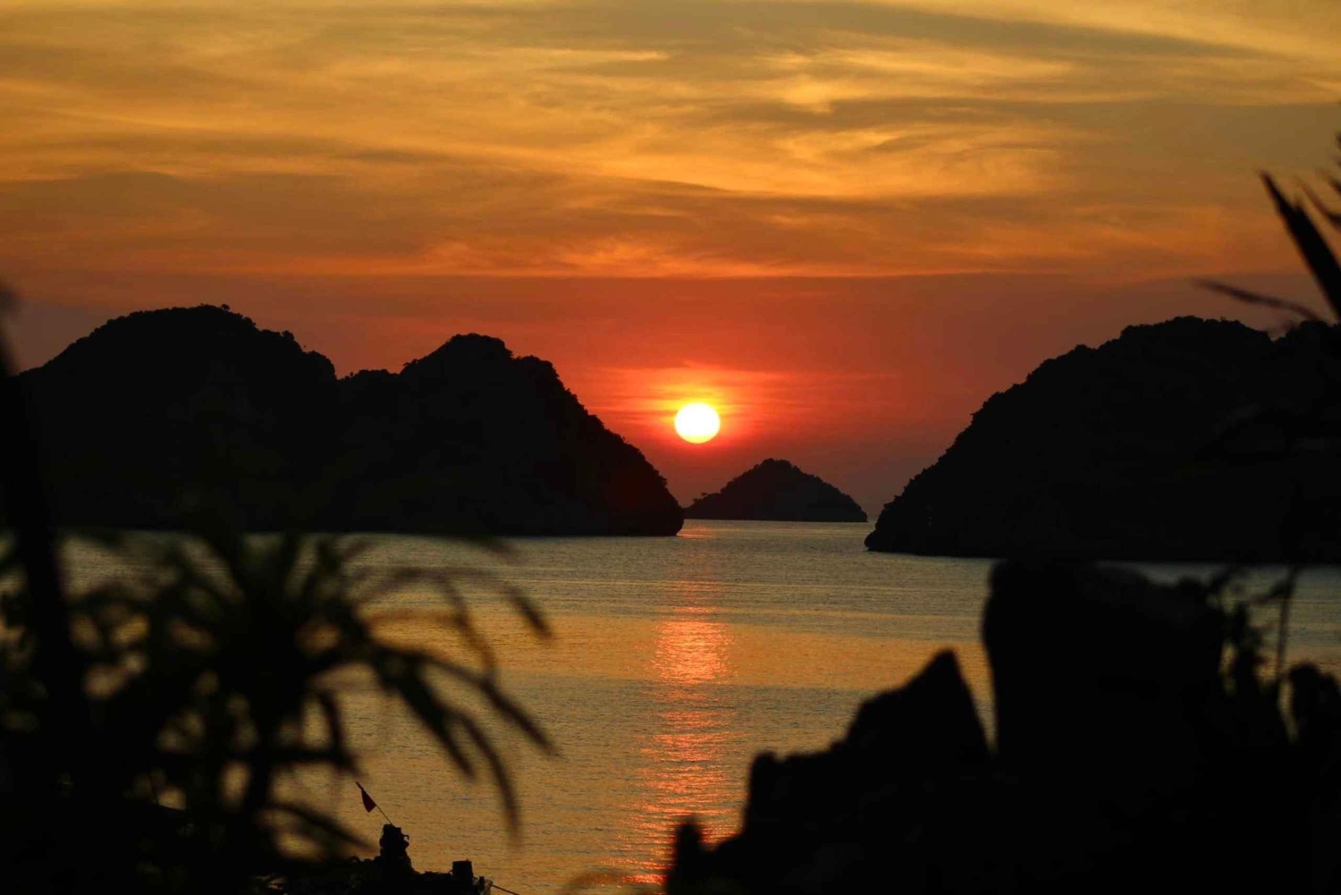 Lan Ha Bay: Bioluminescent Plankton Kayak Tour
