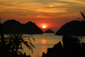 Lan Ha Bay: Bioluminescent Plankton Kayak Tour