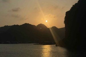 Lan Ha Bay: Bioluminescent Plankton Kayak Tour