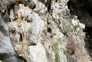 Lan Ha Bay: Cave Camping and Bioluminescent Plankton Tour