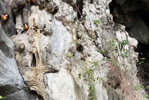Lan Ha Bay: Cave Camping and Bioluminescent Plankton Tour