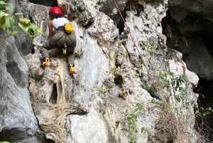 Lan Ha Bay: Cave Camping and Bioluminescent Plankton Tour