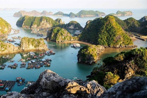 Lan Ha Bay: Experience the Magic Bay at Sunrise
