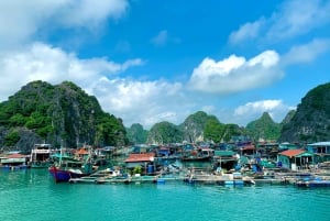 Lan Ha Bay: Dagsutflykt med båt och lunch