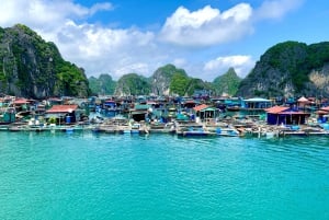 Lan Ha Baai: Dagtocht per boot met lunch