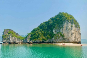 Baie de Lan Ha : Tour en bateau d'une journée avec déjeuner