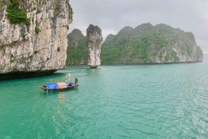 Baia di Lan Ha: Tour di un giorno in barca con pranzo