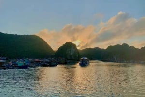 Lan Ha-bugten: Dagstur med båd og frokost