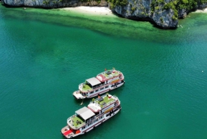 Baie de Lan Ha - Baie d'Ha Long : tour en bateau d'une journée depuis l'île de Cat Ba