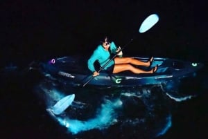 Lan Ha-bugten | natkajak Udforsk bioluminescerende plankton