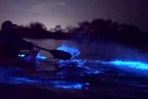 Baie de Lan Ha - Kayak de nuit - Exploration de la bioluminescence du plancton