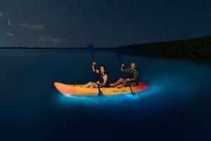 Baie de Lan Ha - Kayak de nuit - Exploration de la bioluminescence du plancton