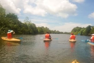 Phu Quoc: Kayaking with Starfish Beach and Bee Farm Tour