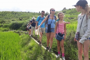 Sapa: Love Silver Waterfall, LonelyTree in Heaven-Rice Field