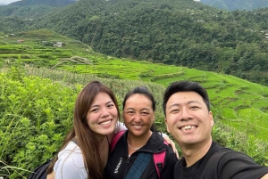 Sapa: Love Silver Waterfall, LonelyTree in Heaven-Rice Field