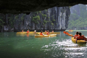 05-Star Crociere di un giorno, grotte, kayak, pranzo a buffet e trasferimento