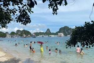 Luxury Ha Long Symphony Day Cruise With Lunch, Cave & Island
