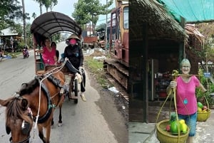 Luksus dagstur i Mekongdeltaet (My Tho - Ben Tre)