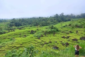 From Hanoi/Mai Chau: Full-Day Mai Chau Group or Private Tour
