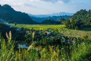 From Hanoi/Mai Chau: Full-Day Mai Chau Group or Private Tour