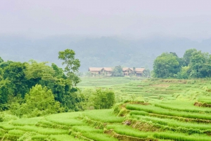 Mai Chau: 2 Days Trekking Tours, Stay at Private Bungalow