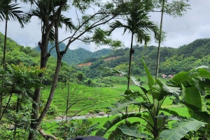Mai Chau: 4-Hour Jeep Tour with Waterfall & Lake Views