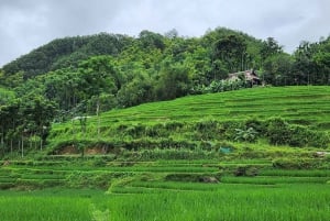 Mai Chau: 4-Hour Jeep Tour with Waterfall & Lake Views