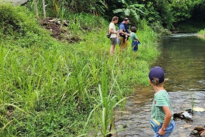 Mai Chau: 4-Hour Jeep Tour with Waterfall & Lake Views