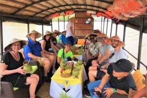 Mango Cruise- Private 1 Day tour in Ben Tre