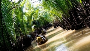 Mango Cruises