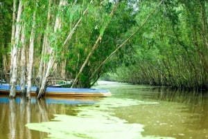 Fra Ho Chi Minh-byen: 3-dagers Mekong Delta-tur til Phnom Penh