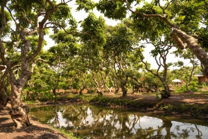 Desde la ciudad de Ho Chi Minh: recorrido de 3 días por el delta del Mekong hasta Phnom Penh