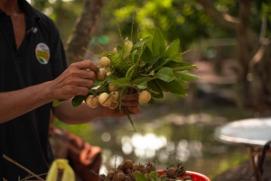 Ho Chi Minh Citystä: 3 päivän Mekong Delta Tour Phnom Penhiin